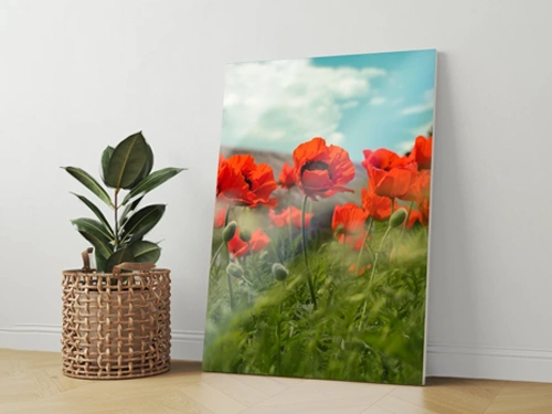 Фото на пенокартоне