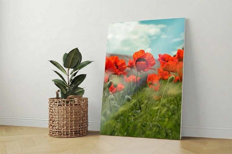 Sisustustrükk PVC-plaadil: fotopilt moonidega