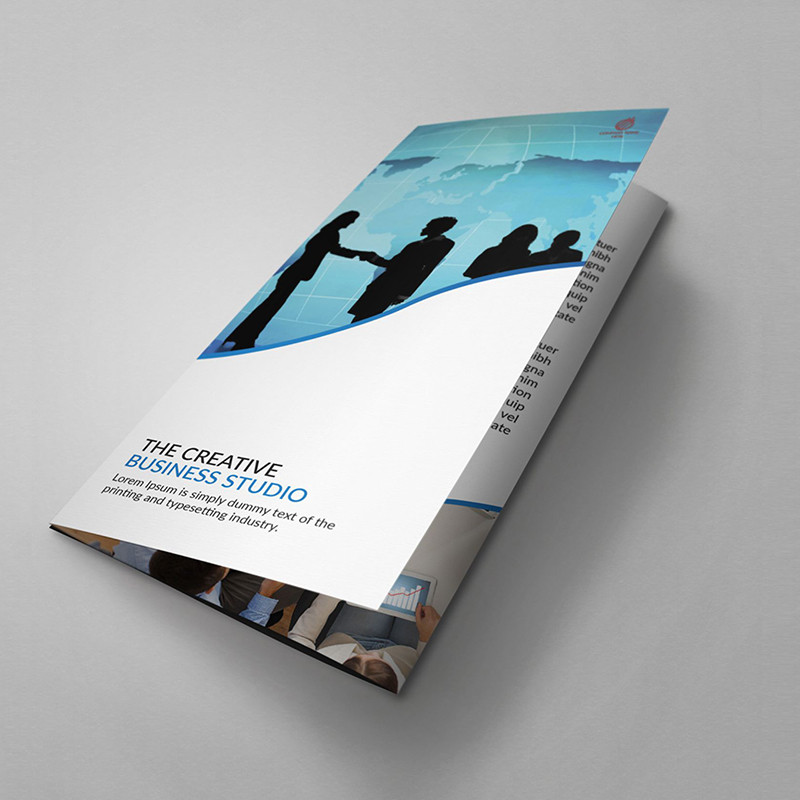 Брошюры и каталоги