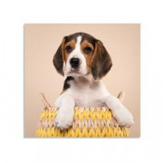 Магнит виниловый 10Х10 см