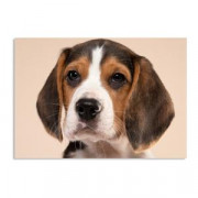 Магнит виниловый 15Х21 см